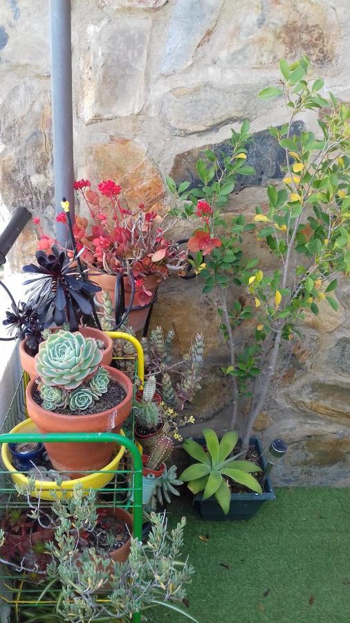 Appartement Arbol De Vida - Cerca Estadio Cartuja *