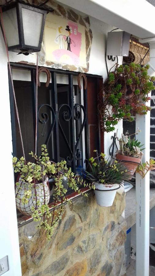 Apartamento árbol De Vida